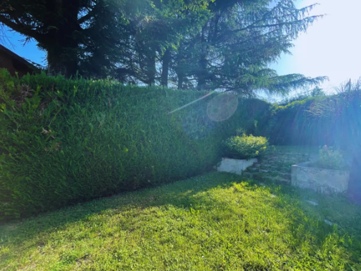 Haie et arbustes avant taille droite et restructuration, à Aix-les-Bains.