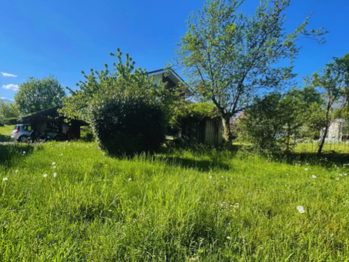 Pelouse de copropriété avant tonte, à Aix-les-Bains.