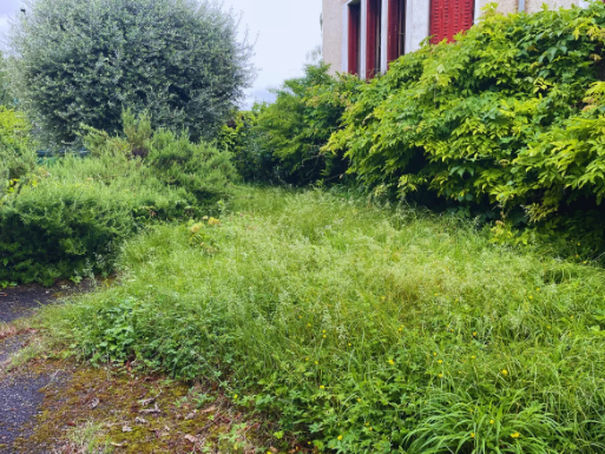 Jardin avant tonte et taille d’entretien des massifs, à Aix-les-Bains.